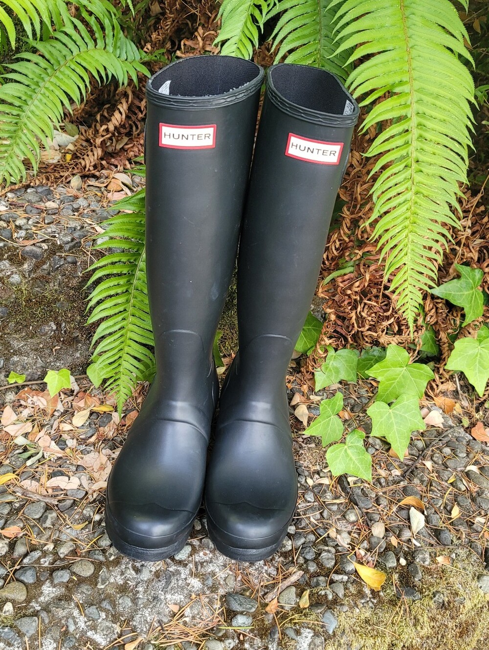 Hunter tall rain boots